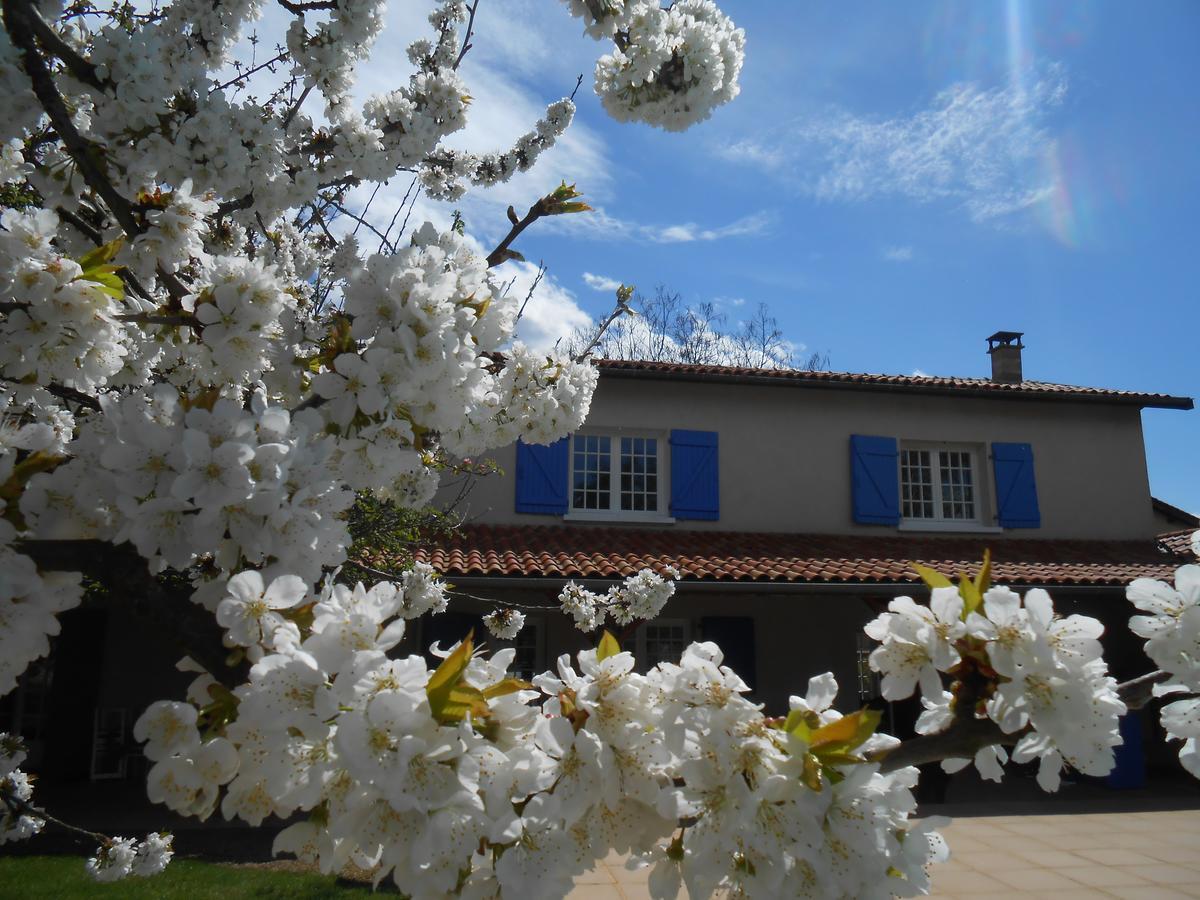 Le Relais Du Grand Logis Bed and Breakfast Civrieux Εξωτερικό φωτογραφία